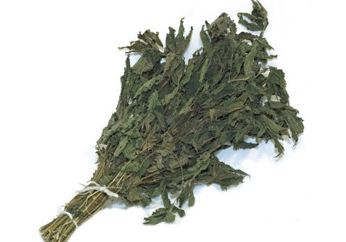 Веник из крапивы для бани Веник из крапивы для бани