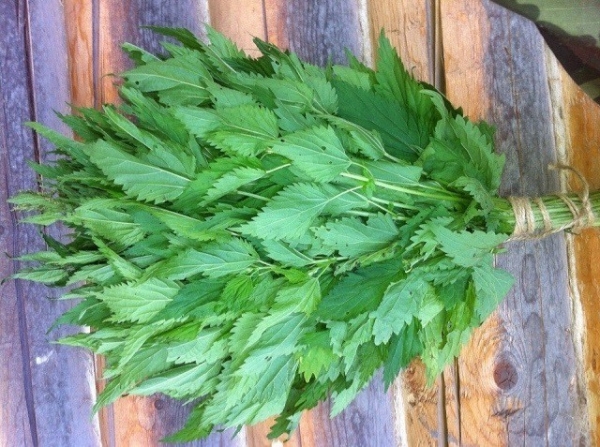 Веник из крапивы для бани Веник из крапивы для бани