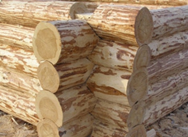 Баня 5х4 с мансардой Баня 5х4 с мансардой