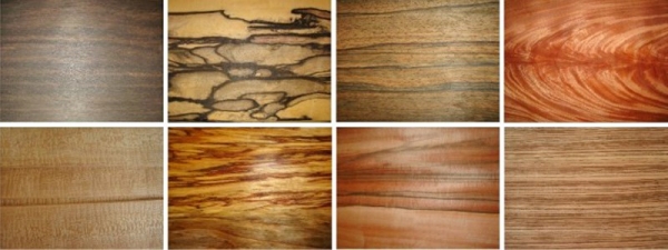 Баня 4 на 4 планировка внутри Баня 4 на 4 планировка внутри