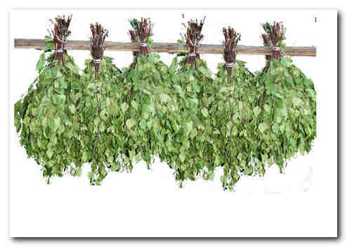 Банный веник душу тешит да тело нежит Банный веник душу тешит да тело нежит