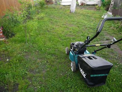 Газон своими руками
Газон своими руками