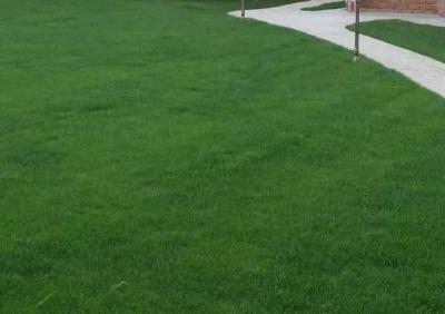 Устройство газона
Устройство газона