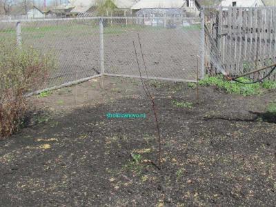 Газон своими руками
Газон своими руками