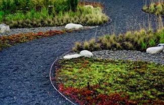 Дорожки на даче
Дорожки на даче