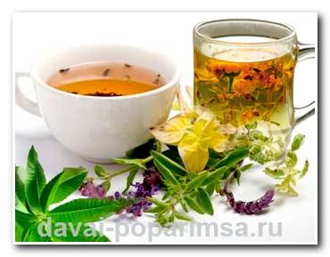 Чай для бани. Рецепты и описание Чай для бани. Рецепты и описание