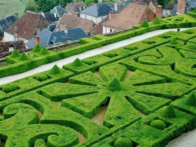 Топиари – искусство фигурной стрижки растений
Топиари – искусство фигурной стрижки растений