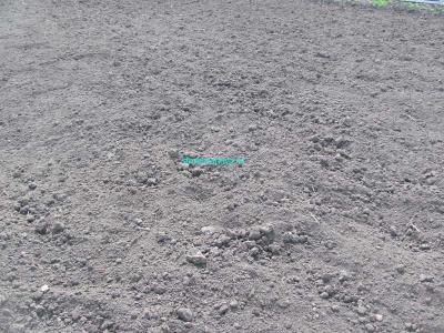 Газон своими руками
Газон своими руками