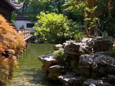 Сад в природном стиле
Сад в природном стиле