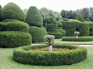 Топиари – искусство фигурной стрижки растений
Топиари – искусство фигурной стрижки растений