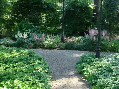 Сад в природном стиле
Сад в природном стиле