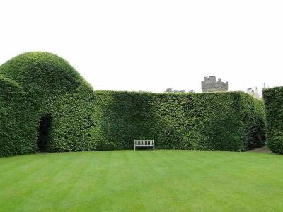 Топиари – искусство фигурной стрижки растений
Топиари – искусство фигурной стрижки растений