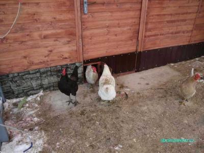 Как сделать дверь
Как сделать дверь