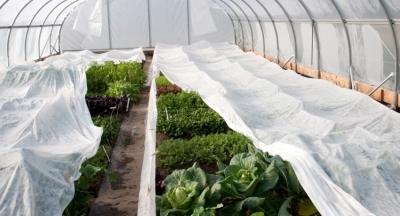 Спанбонд: что это такое, возможности материала и эффективность использования Спанбонд: что это такое, возможности материала и эффективность использования