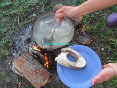 Уха двойная
Уха двойная