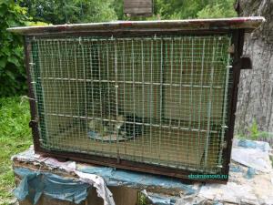 Клетка для цыплят
Клетка для цыплят