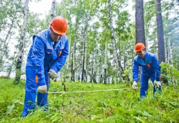 Сваи под фундамент бани Сваи под фундамент бани
