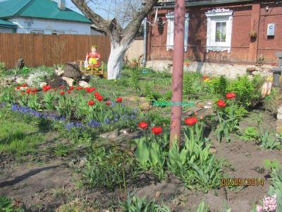 Цветы в саду
Цветы в саду