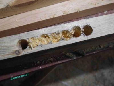 Делаем дверь своими руками
Делаем дверь своими руками