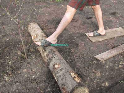 Газон своими руками
Газон своими руками