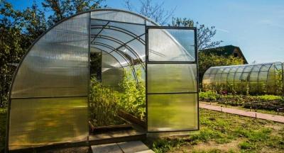 Парники своими руками: проекты и материалы для строительства Парники своими руками: проекты и материалы для строительства