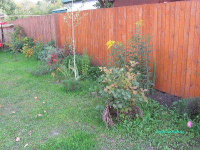 Виды заборов
Виды заборов