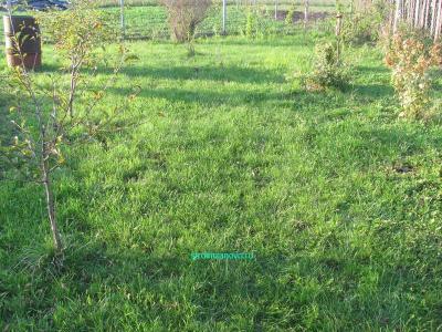 Газон своими руками
Газон своими руками