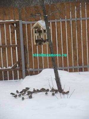 Как сделать кормушку для птиц
Как сделать кормушку для птиц