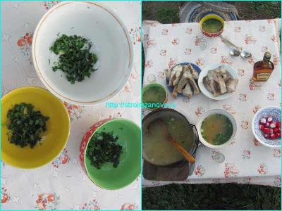 Уха двойная
Уха двойная