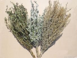 Как правильно париться в русской бане Как правильно париться в русской бане