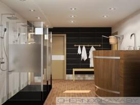 Проекты бань из кирпича Проекты бань из кирпича