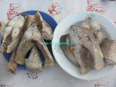 Уха двойная
Уха двойная