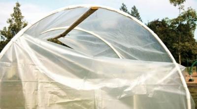 Парники своими руками: проекты и материалы для строительства Парники своими руками: проекты и материалы для строительства