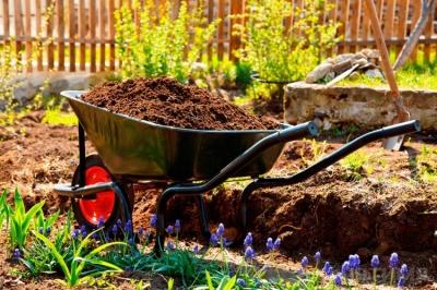 Высокие грядки на даче своими руками: фото и технология изготовления Высокие грядки на даче своими руками: фото и технология изготовления