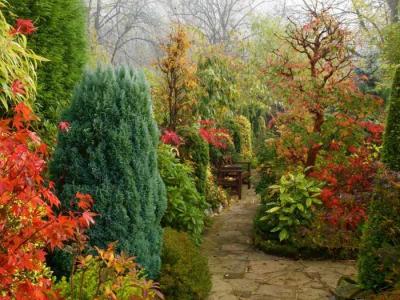 Сад в природном стиле
Сад в природном стиле