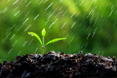 Разбрызгиватель воды для полива Разбрызгиватель воды для полива