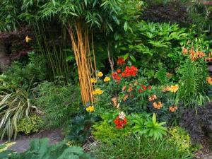 Сад в природном стиле
Сад в природном стиле