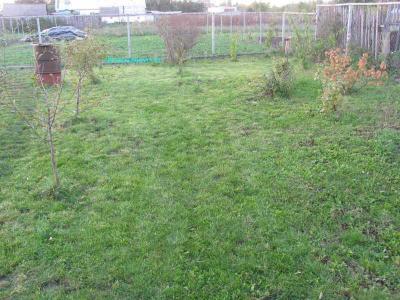 Газон своими руками
Газон своими руками