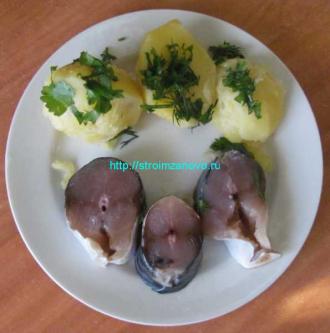 Засолка рыбы
Засолка рыбы