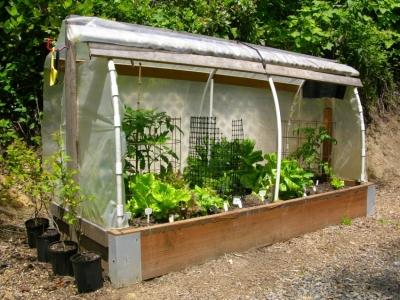 Парники своими руками: проекты и материалы для строительства Парники своими руками: проекты и материалы для строительства
