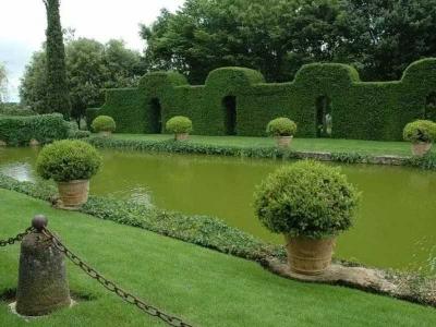 Топиари – искусство фигурной стрижки растений
Топиари – искусство фигурной стрижки растений