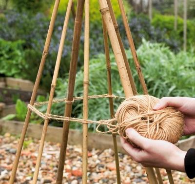 Парник из подручных материалов своими руками Парник из подручных материалов своими руками