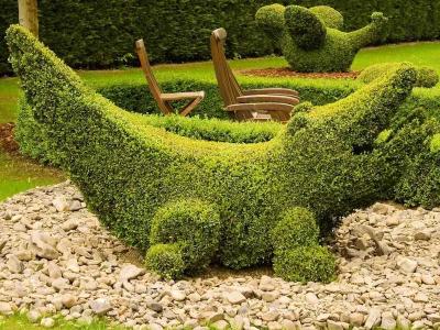 Топиари – искусство фигурной стрижки растений
Топиари – искусство фигурной стрижки растений