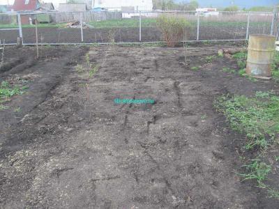 Газон своими руками
Газон своими руками