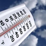 Пропитка для бани внутри — как выбрать и разновидности