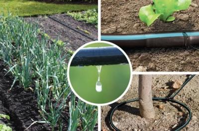 Капельный полив своими руками. Как делать. Фото и видео Капельный полив своими руками. Как делать. Фото и видео