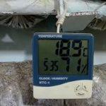 Выращивание грибов в домашних условиях: главные особенности и инструкция для новичков Выращивание грибов в домашних условиях: главные особенности и инструкция для новичков