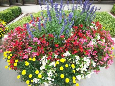 Клумбы своими руками. Как сделать. Идеи и фото Клумбы своими руками. Как сделать. Идеи и фото