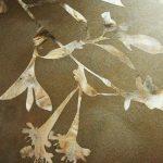 Декоративная штукатурка в интерьере: лучшие варианты + технология нанесения Декоративная штукатурка в интерьере: лучшие варианты + технология нанесения