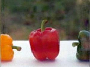 Стеклопрофилит — что это, где и как применяется Стеклопрофилит — что это, где и как применяется